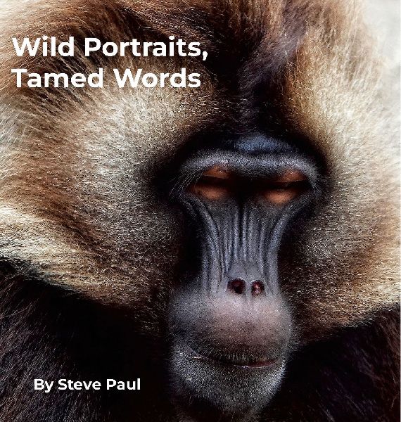Wild Portraits, Tamed Words