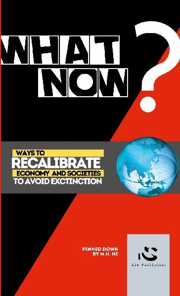 What now?: Ways to recalibrate economy and societies to avoid extinction