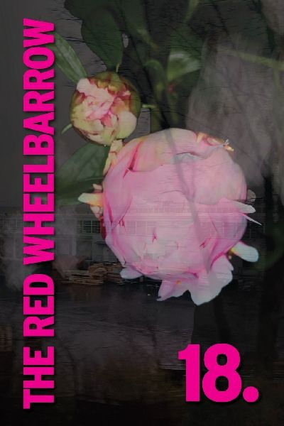The Red Wheelbarrow 18
