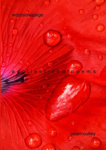 words on a page: a collection of poems