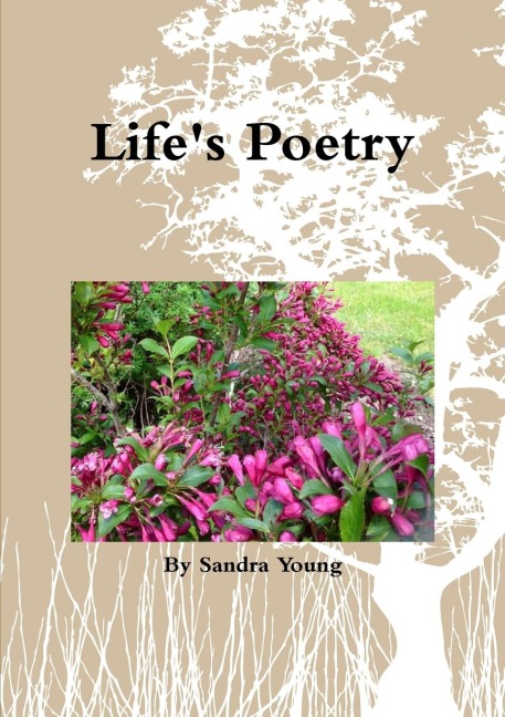 Lifes Poetry