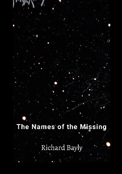 The Names of The Missing