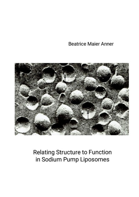 Relating Structure to Function in Sodium Pump Liposomes