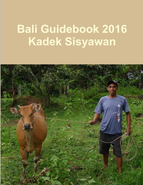 Bali Guidebook 2016