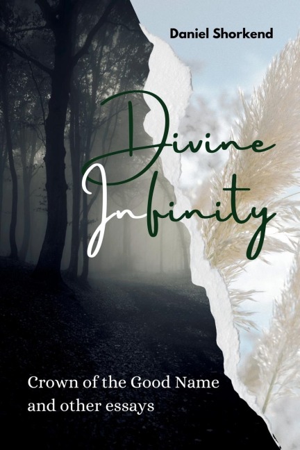 Divine Infinity: Crown of the Good Name and other essays