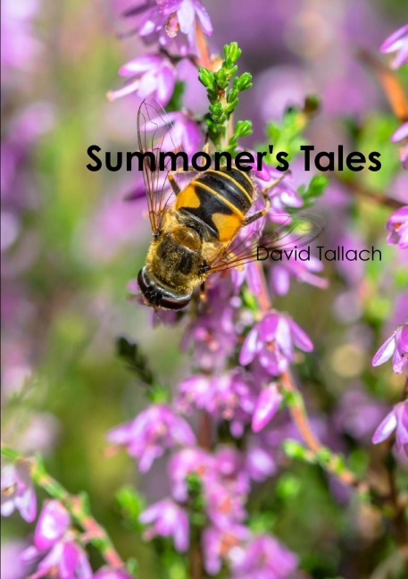 Summoners Tales