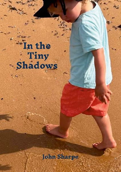 In the Tiny Shadows