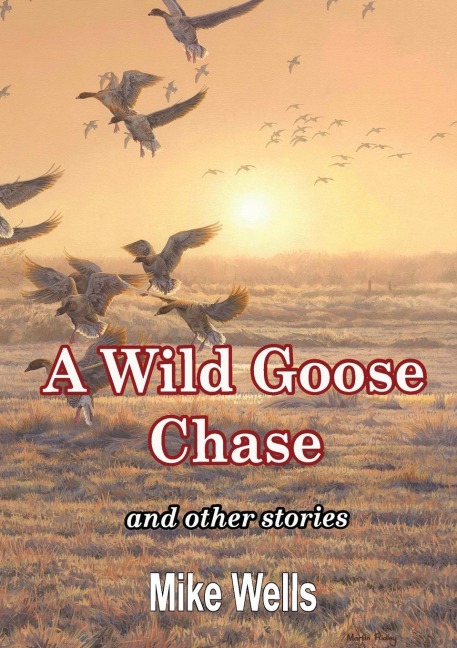 A Wild Goose Chase: and other stories