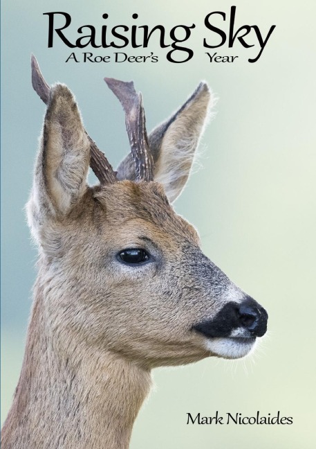 Raising Sky: A Roe Deer's Year