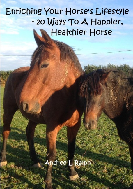 Enriching Your Horses Lifestyle - 20 Ways To A Happier, Healthier Horse