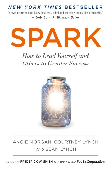 Spark: How to Lead Yourself and Others to Greater Success