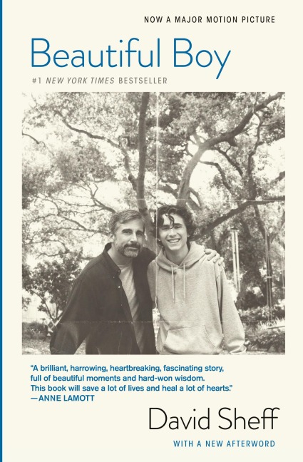 Beautiful Boy (Tie-In): A Fathers Journey Through His Sons Addiction