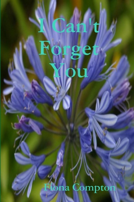 I Cant Forget You