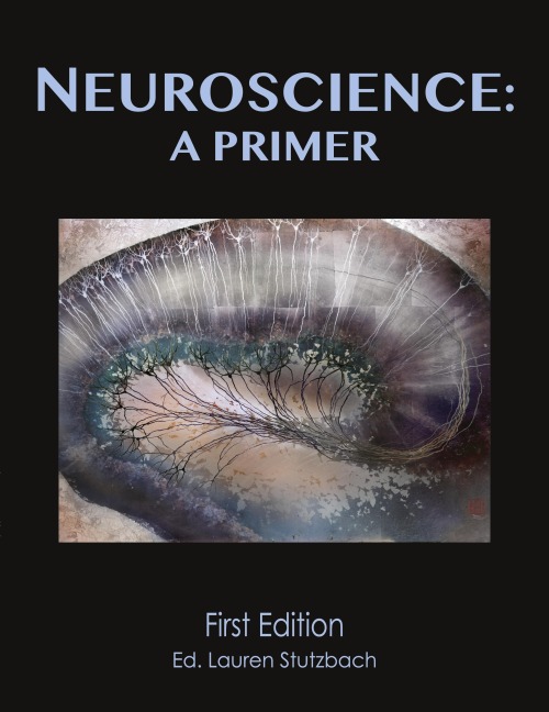 Neuroscience: A Primer (softcover)