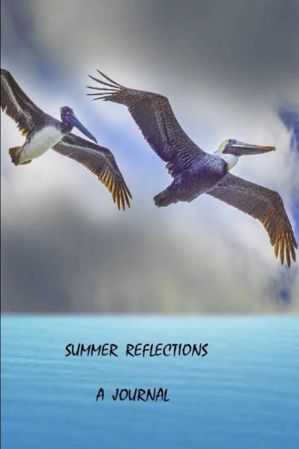 Summer Reflections