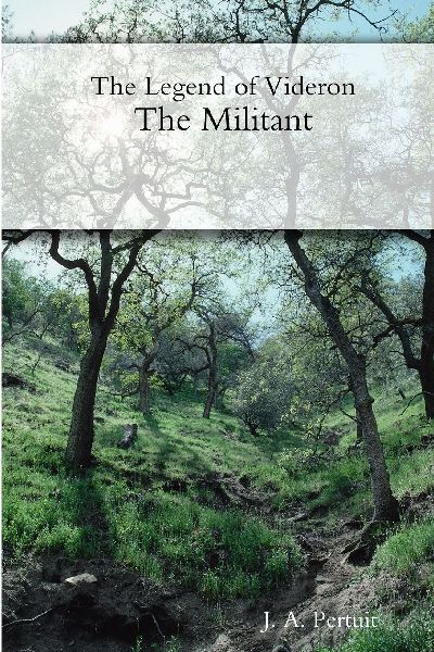 The Legend of Videron: The Militant