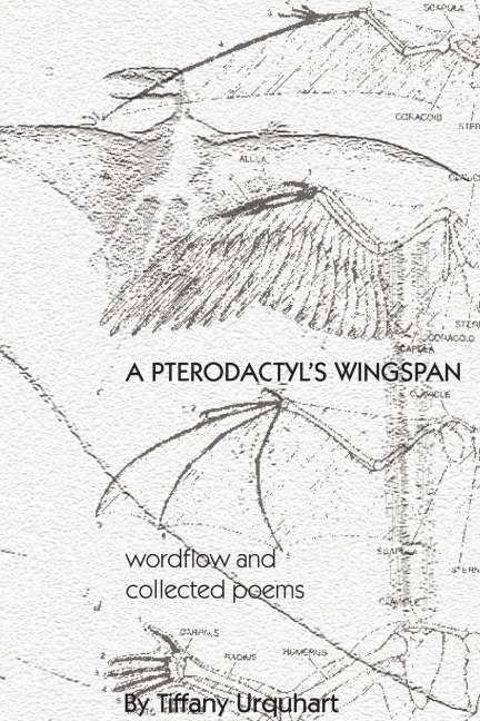A Pterodactyls Wingspan