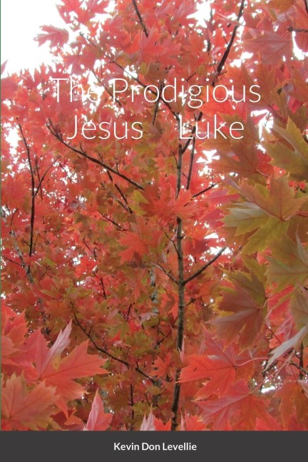The Prodigious Jesus     Luke