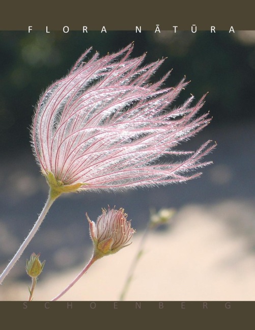 Flora N¿t¿ra