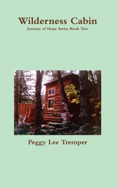 Wilderness Cabin