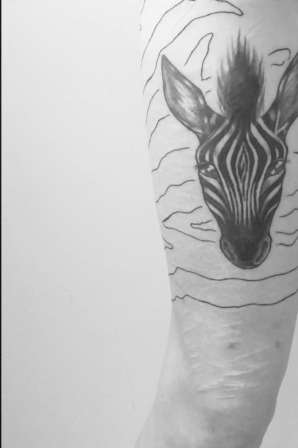 scars and stripes