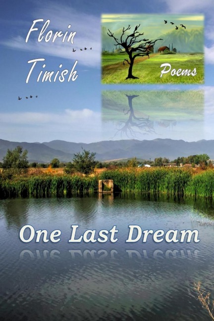 One Last Dream: Poems