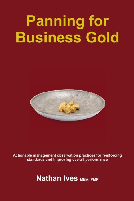 Panning for Business Gold: Actionable management observation practices for reinforcing standards and improving overall performance