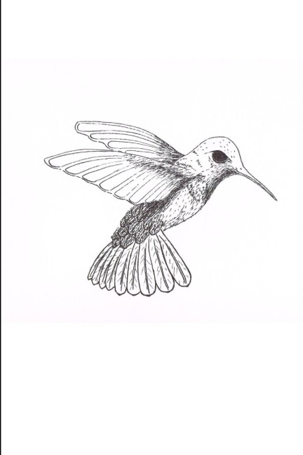 When the Trochilidae Die