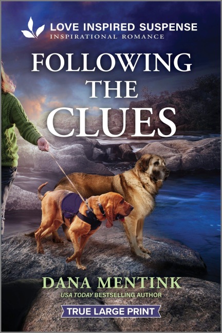 Following the Clues