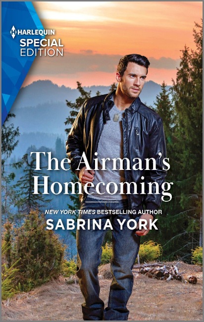The Airmans Homecoming