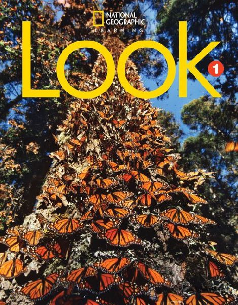 Look 1 (British English)