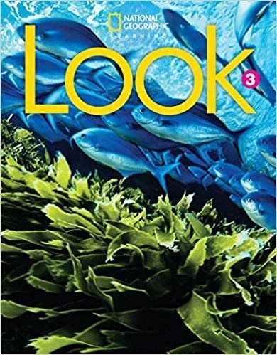 Look 3 (British English)