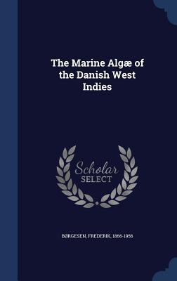 The Marine Algæ of the Danish West Indies: 2