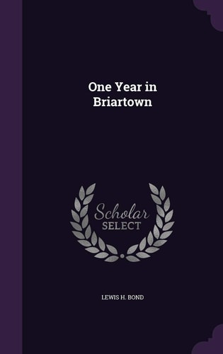 One Year in Briartown