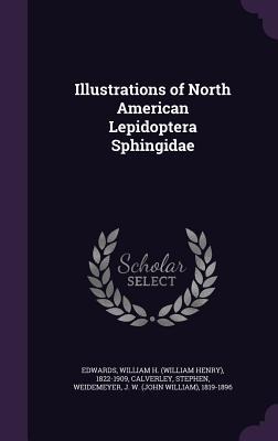 Illustrations of North American Lepidoptera Sphingidae