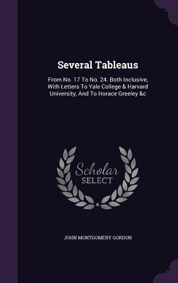 Several Tableaus: From No. 17 To No. 24. Both Inclusive, With Letters To Yale College & Harvard University, And To Horace Greeley &c