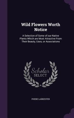 Wild Flowers Worth Notice: A Selection of Some of our Native Plants Which are Most Attractive From Their Beauty, Uses, or Associations