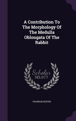 A Contribution To The Morphology Of The Medulla Oblongata Of The Rabbit