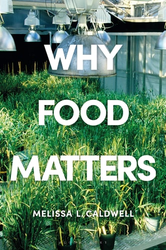 Why Food Matters Critical Debates in Food Studies