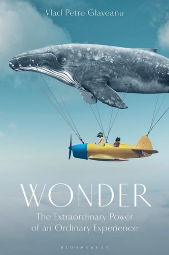 Wonder The Extraordinary Power of an Ordinary Experience