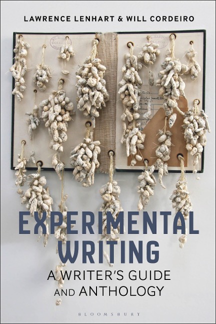 Experimental Writing: A Writers Guide and Anthology