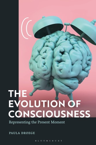 The Evolution of Consciousness Representing the Present Moment
