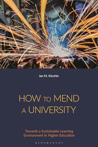 How to Mend a University Towards a Sustainable Learning Environment In Higher Education