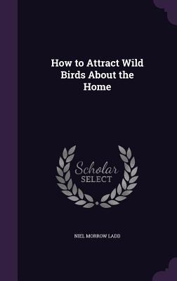 How to Attract Wild Birds About the Home