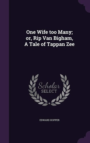 One Wife Too Many; Or, Rip Van Bigham, a Tale of Tappan Zee