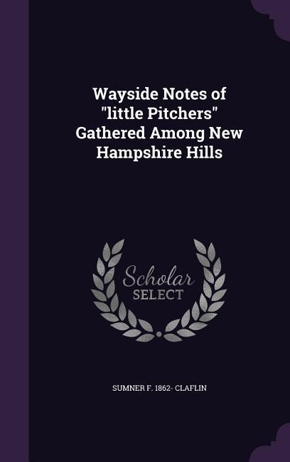 Wayside Notes of "little Pitchers" Gathered Among New Hampshire Hills