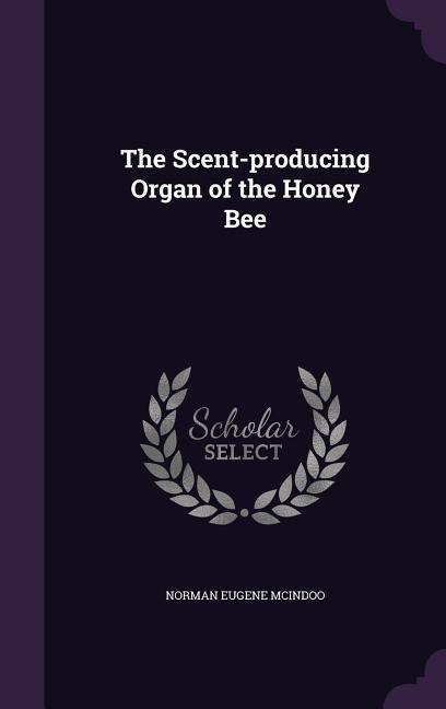 The Scent-producing Organ of the Honey Bee