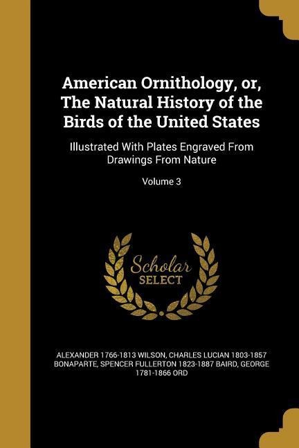 American Ornithology, or, The Natural History of the Birds of the United States: Illustrated With Plates Engraved From Drawings From Nature; Volume 3