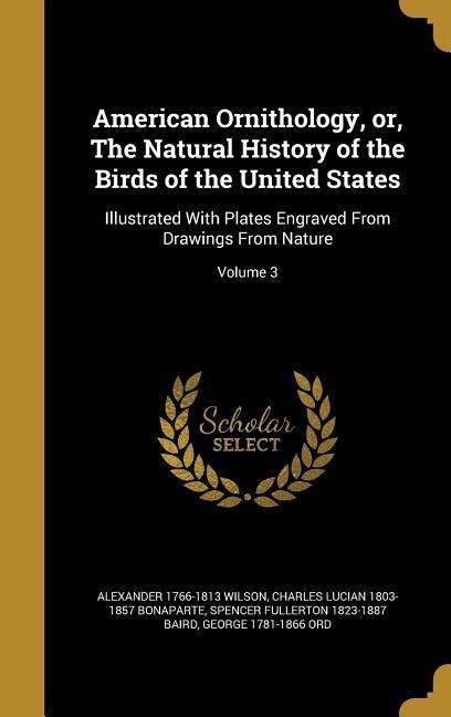 American Ornithology, or, The Natural History of the Birds of the United States: Illustrated With Plates Engraved From Drawings From Nature; Volume 3