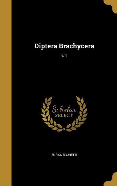 Diptera Brachycera; v. 1